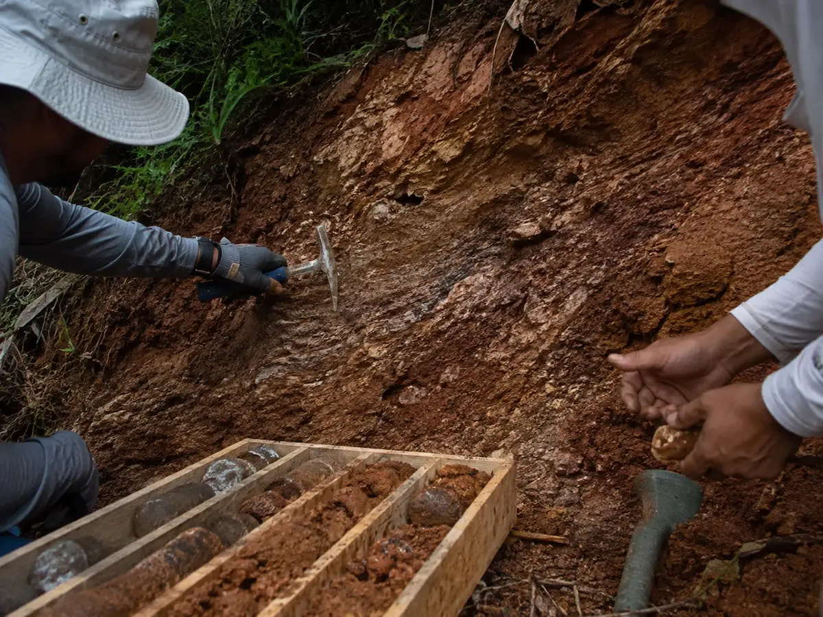 Observación de materiales durante trabajo de campo geológico